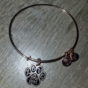 Alex and Ani Bracelet